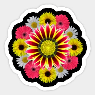 gerbera flower daisies gerberas daisy sunflower floral bloom Sticker